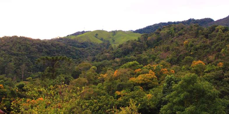 Pousada Liláceas - Vista do chalé Lavanda
