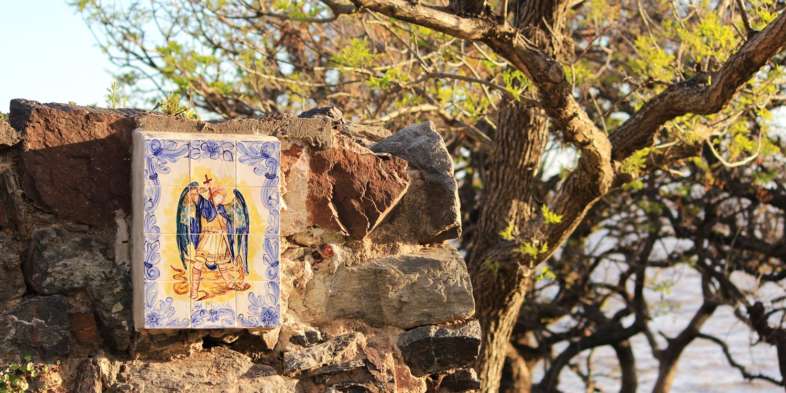 Colonia del Sacramento - Azulejo e árvore