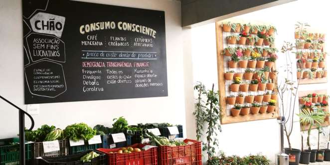 Verduras, frutos e resumo dos ideais do Instituto Chão