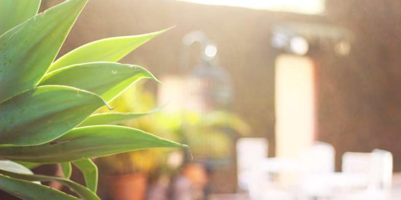 Pousada Beco do Bispo - Detalhe da área externa