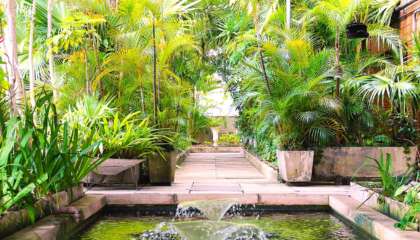 Bosque da cobertura do Edifício Matarazzo, sede da Prefeitura de São Paulo desde 2004