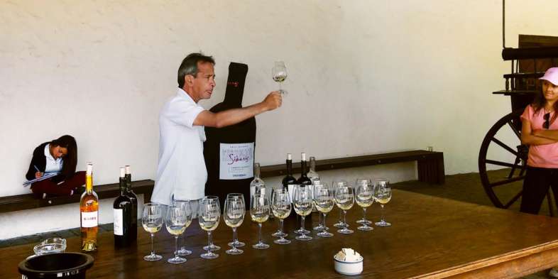 vinícola Undurraga - Germán, nosso guia e comediante por natureza vinícola Undurraga - Germán, nosso guia e comediante por natureza
