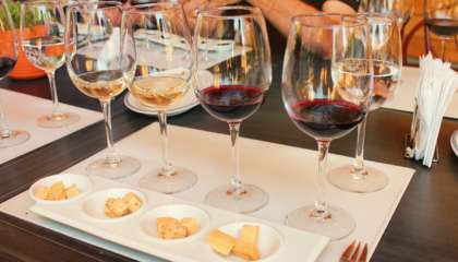 Degustação de vinhos da vinícola orgânica Emiliana harmonizados com queijos feitos na região e chocolates do Equador
