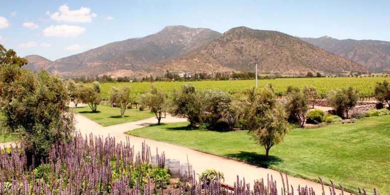 Os vinhedos vistos da varanda da sede da vinícola orgânica Emiliana Os vinhedos vistos da varanda da sede da vinícola orgânica Emiliana