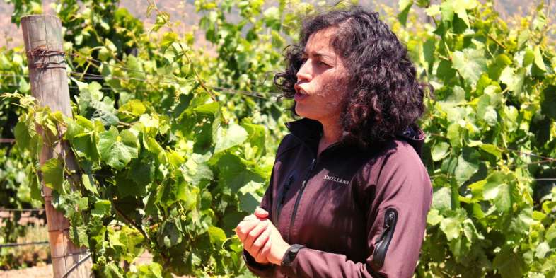 Silvia, enóloga da vinícola orgânica Emiliana e a melhor guia de tours em vinícolas que você já viu Silvia, enóloga da vinícola orgânica Emiliana e a melhor guia de tours em vinícolas que você já viu