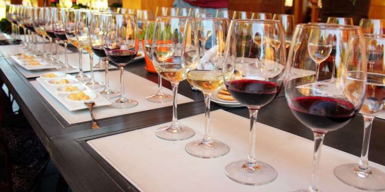 Tudo pronto para nossa degustação de vinhos na Emiliana Tudo pronto para nossa degustação de vinhos na Emiliana