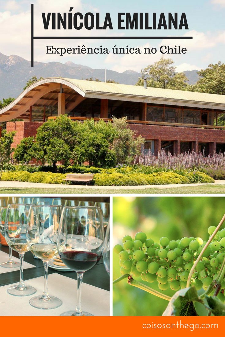 Vinícola Emiliana, vinhos orgânicos no Chile Vinícola Emiliana, vinhos orgânicos no Chile