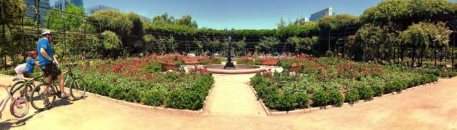 Panorâmica do rosedal do Parque Araucano em Santiago do Chile Panorâmica do rosedal do Parque Araucano em Santiago do Chile