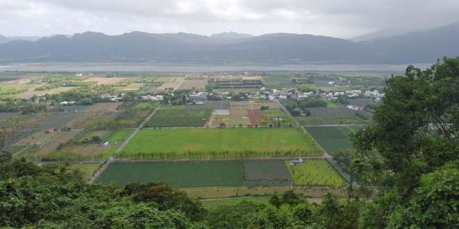 Campos de chá de Taitung Campos de chá de Taitung