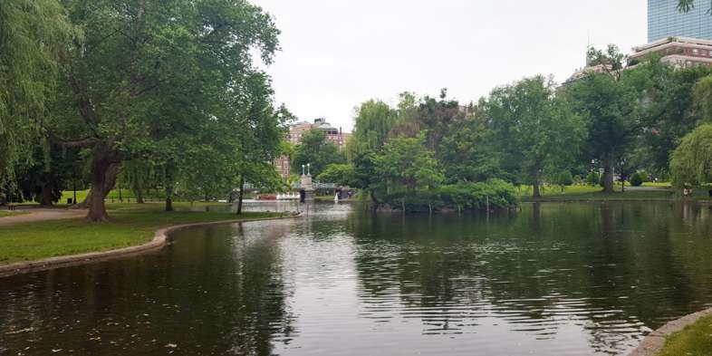 Lago com patos e cisnes do Boston Public Garden