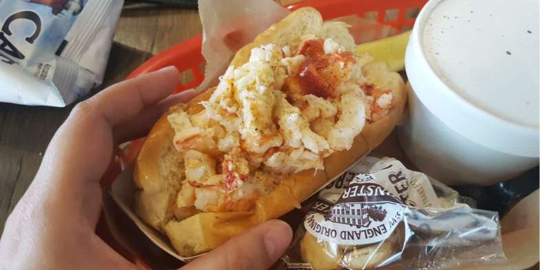 Lobster roll (sanduíche de lagosta) do Luke's lobster