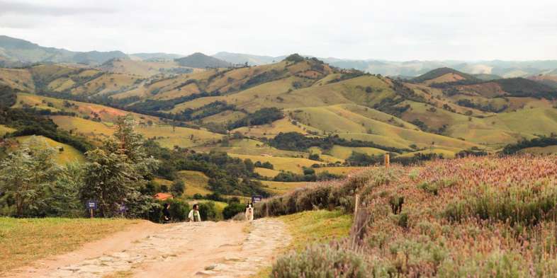 Coisa e Ovo voltando da caminhada pelo Lavandario de Cunha acompanhados do cachorro que saúda todos os visitantes