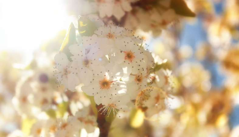 É ótimo quando você nem precisa se esforçar para tirar uma foto boa