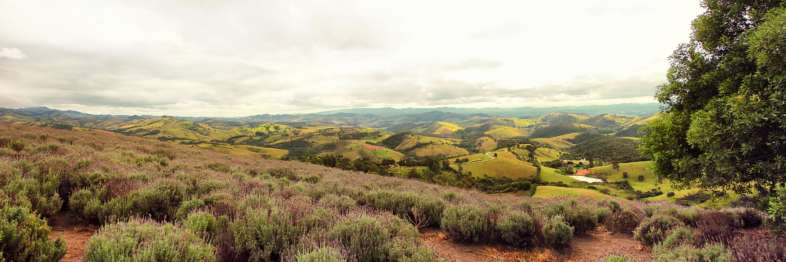 Panorâmica da vista do Lavandário de Cunha