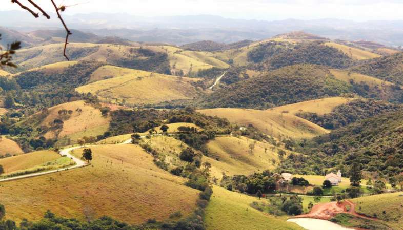 Trecho da estrada compondo a vista que temos do Lavandário de Cunha Trecho da estrada compondo a vista que temos do Lavandário de Cunha
