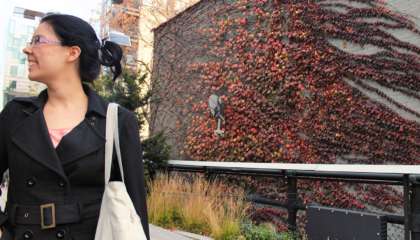 Coisa passeando pelo parque High Line em Nova York no final do outono com folhas em um muro ao fundo