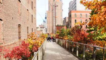High Line parque suspenso de Nova York