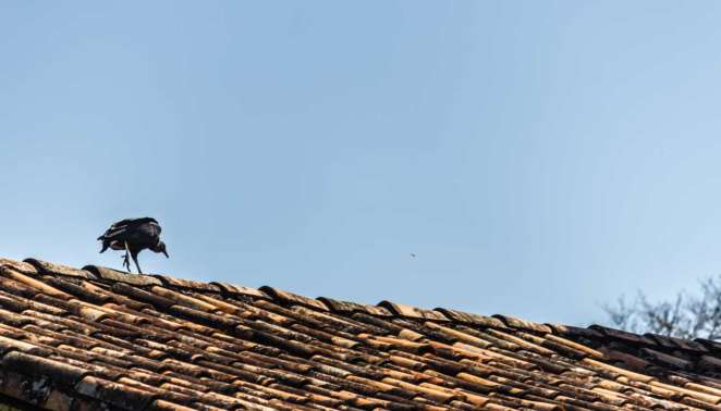 Um dos atuais moradores das residências da vila de operários da Fundição Ipanema, a Real Fábrica de Ferro Um dos atuais moradores das residências da vila de operários da Fundição Ipanema, a Real Fábrica de Ferro