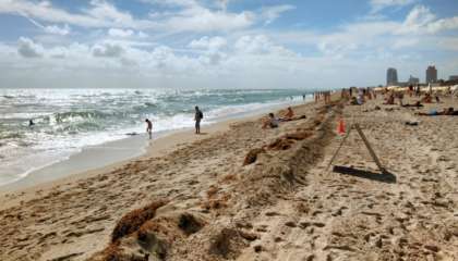 Motivos para entrar nos EUA por Miami: as praias da cidade têm fácil acesso e ótima estrutura