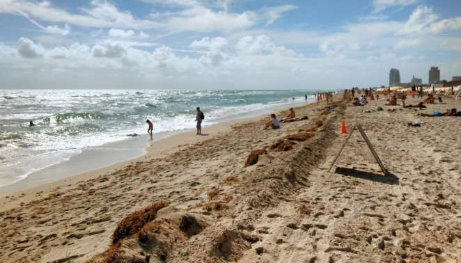 Motivos para entrar nos EUA por Miami: as praias da cidade têm fácil acesso e ótima estrutura