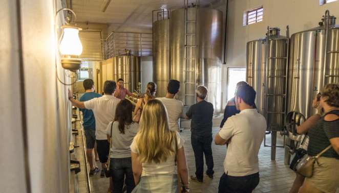 As degustações na Vinícola Góes incluem também uma visita guiada pelas instalações de fabricação e armazenamento de vinho