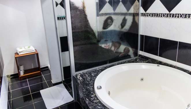 Hospedagem em Brotas - Pousada das Nascentes: todos os quartos têm banheira de hidromassagem ou ofurô Hospedagem em Brotas - Pousada das Nascentes: todos os quartos têm banheira de hidromassagem ou ofurô