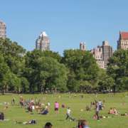 Hotel em Nova York: o Central Park marca o início da região chamada de Uptown em Manhattan