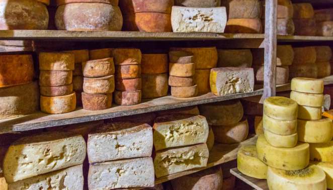 Caminho do queijo artesanal paulista: a Fazenda Atalaia produz queijos que passam até 24 meses em maturação Caminho do queijo artesanal paulista: a Fazenda Atalaia produz queijos que passam até 24 meses em maturação