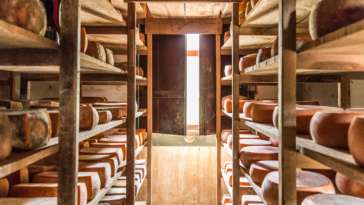Caminho do queijo artesanal paulista: as visitas guiadas da Fazenda Atalaia incluem as salas de estocagem e maturação