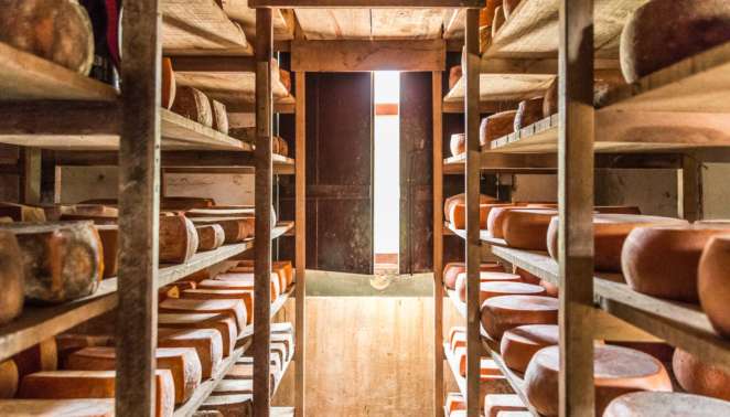 Caminho do queijo artesanal paulista: as visitas guiadas da Fazenda Atalaia incluem as salas de estocagem e maturação Caminho do queijo artesanal paulista: as visitas guiadas da Fazenda Atalaia incluem as salas de estocagem e maturação