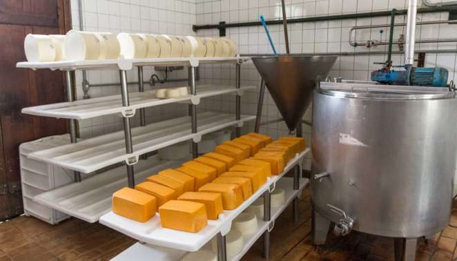 Caminho do queijo artesanal paulista: nas visitas guiadas da Fazenda Atalaia, você conhece também a sala onde é fabricado o queijo Caminho do queijo artesanal paulista: nas visitas guiadas da Fazenda Atalaia, você conhece também a sala onde é fabricado o queijo