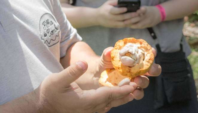 Além da loja, os visitantes podem também fazer um passeio pela propriedade e conhecer um pouco sobre a fabricação dos Chocolates Filha do Combu em Belém do Pará