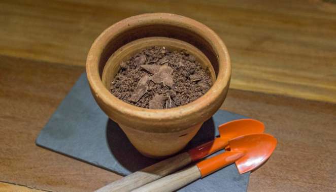 Onde comer em Belém do Pará: esta mousse de chocolate do Remanso do Bosque tem visual lúdico e infantil, mas leva chocolate 100% cacau da Filha do Combu