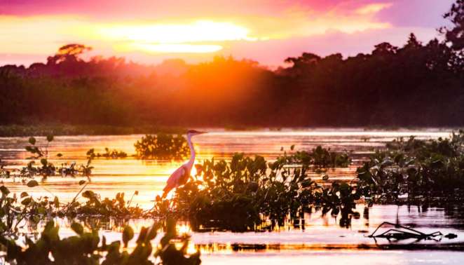 Mais um belo momento do nascer do sol no Sesc Pantanal