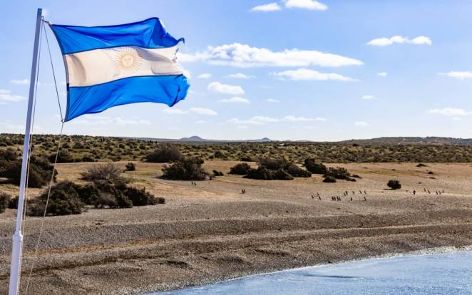 Conheça Punta Tombo e outras reservas que abrigam milhões de pinguins e outras belezas naturais da Patagônia Argentina