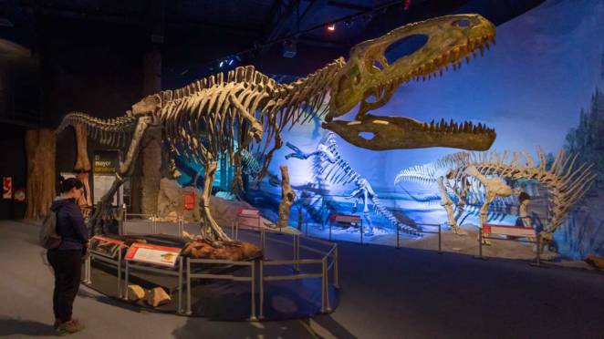 O Museu Paleontológico Egidio Feruglio de Trelew reúne material sobre as diversas descobertas sobre dinossauros na região da Patagônia