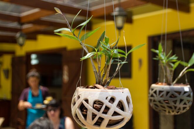 O Jardins de Barro em Santo Antônio do Pinhal é um café e um ateliê no caminho para o Pico Agudo O Jardins de Barro em Santo Antônio do Pinhal é um café e um ateliê no caminho para o Pico Agudo