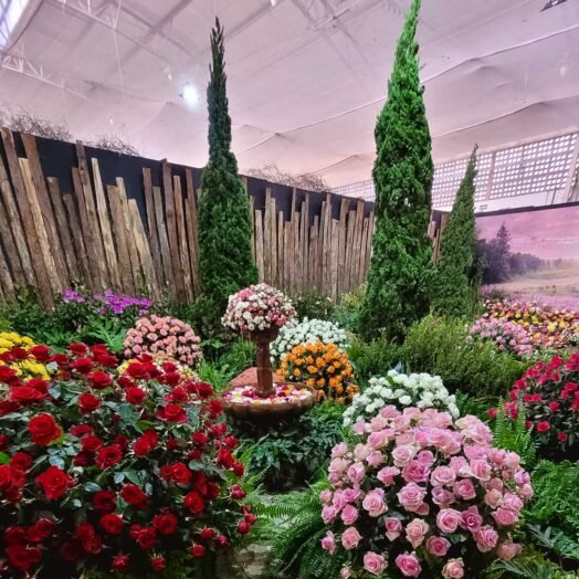 O que fazer em Atibaia - Festa de Flores e Morangos