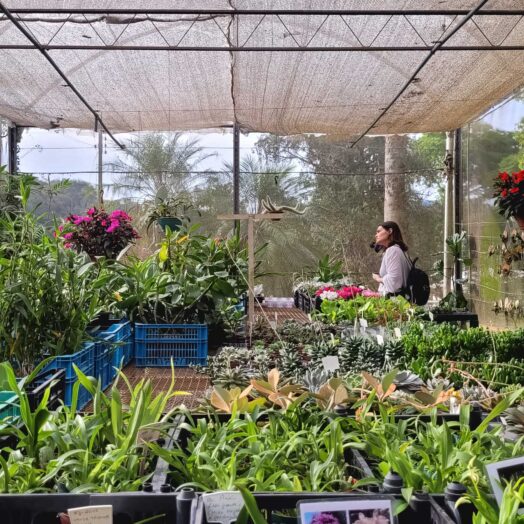 O que fazer em Atibaia - Orquidário Takebayashi - Loja